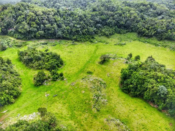 Carr 626 BO CALICHOZA, Arecibo, PR 00613