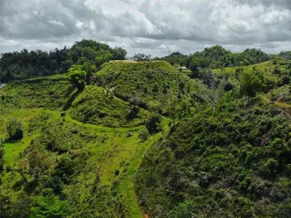 Carr 626 BO CALICHOZA, Arecibo, PR 00613