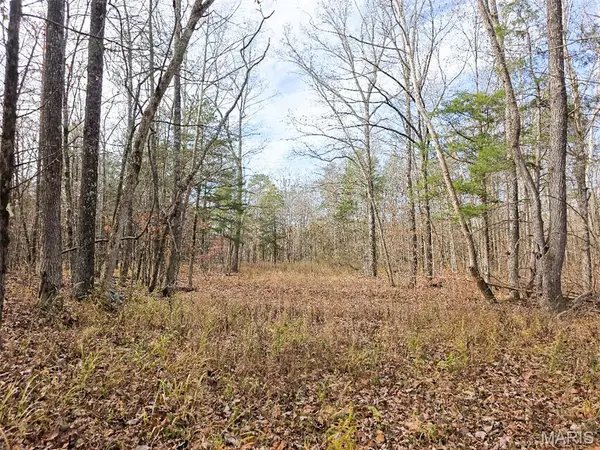 3 Off Madison 416, Fredericktown, MO 63645