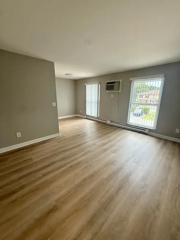 405 E Reed ST #4, Braidwood, IL 60408