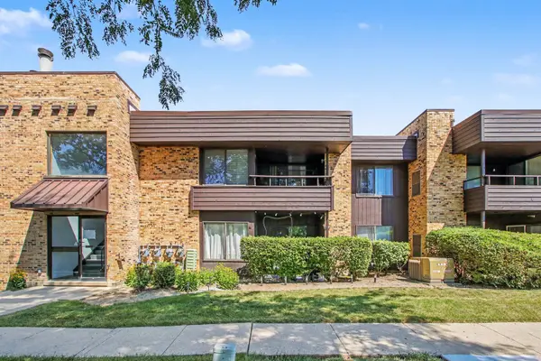 1413 N Sterling AVE #204, Palatine, IL 60067