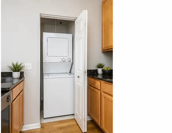 400 W Ontario ST #1508, Chicago, IL 60654