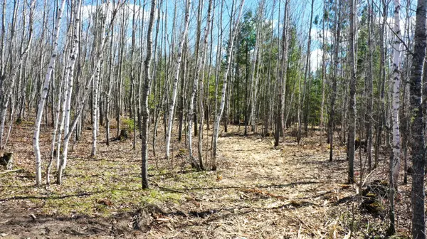TBD Parcel F Frazer Bay Road, Cook, MN 55723