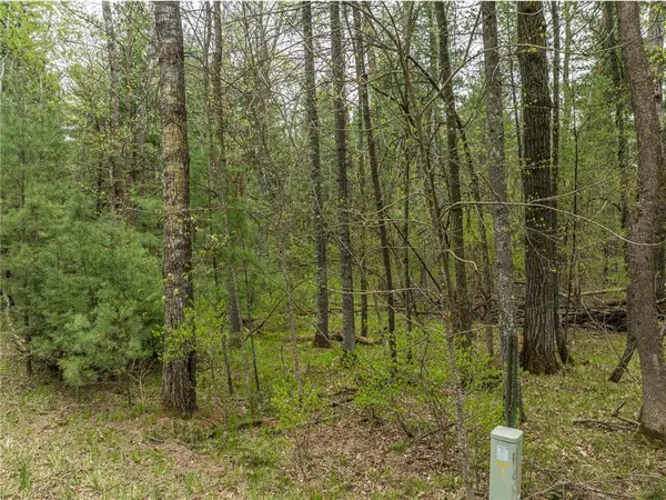TBD Chokecherry DR, Nevis, MN 56467
