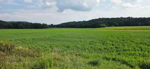 21 County Road, Mazeppa, MN 55956