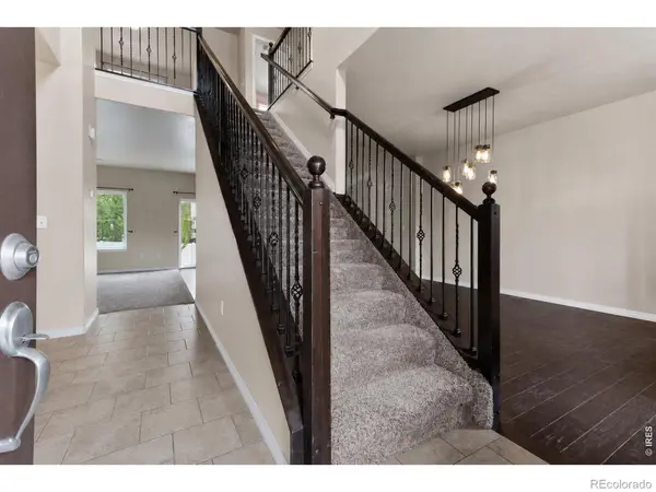 896 Antila AVE, Loveland, CO 80537