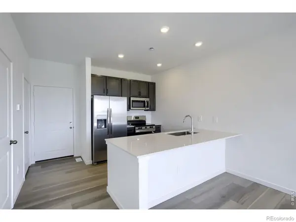 3053 Gladstone AVE, Loveland, CO 80538