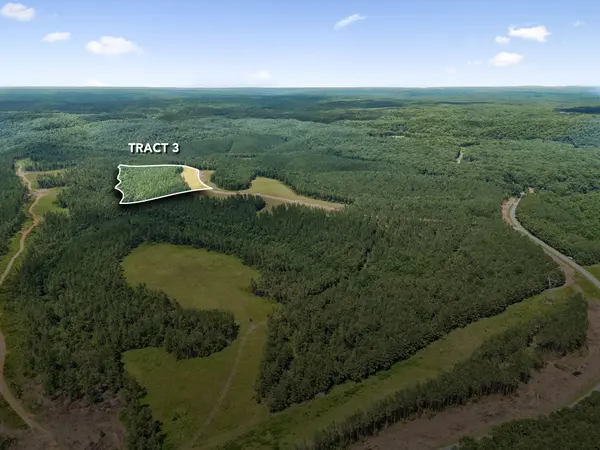 1420 Big Swan Creek Rd, Summertown, TN 38483