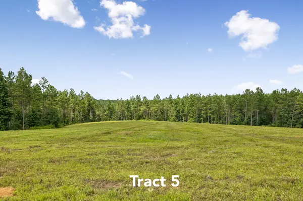 1420 Big Swan Creek Rd, Summertown, TN 38483