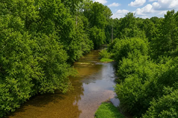 3138 Richmond Rd, Petersburg, TN 37144