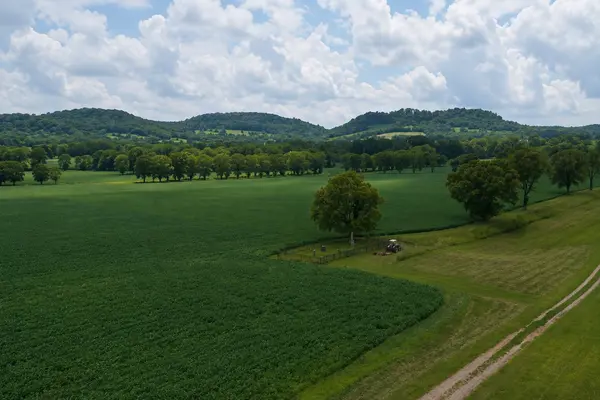 3138 Richmond Rd, Petersburg, TN 37144