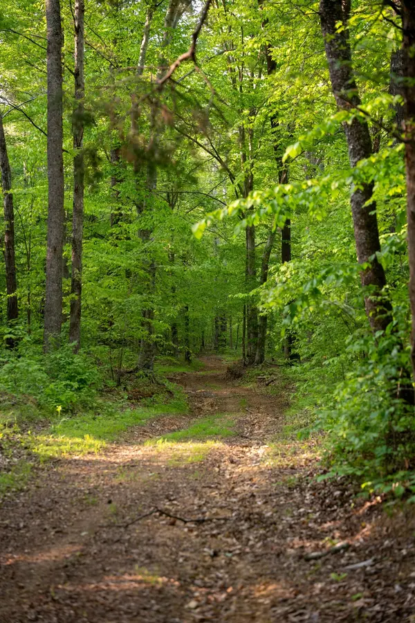 2 Pinewood Road, Nunnelly, TN 37137