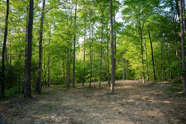 3 Pinewood Road, Nunnelly, TN 37137