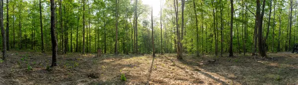 3 Pinewood Road, Nunnelly, TN 37137