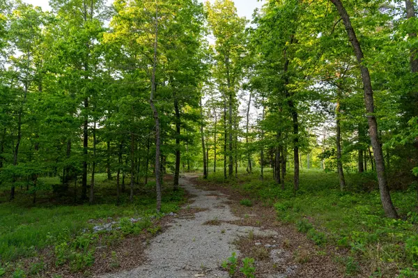 4 Pinewood Road, Nunnelly, TN 37137
