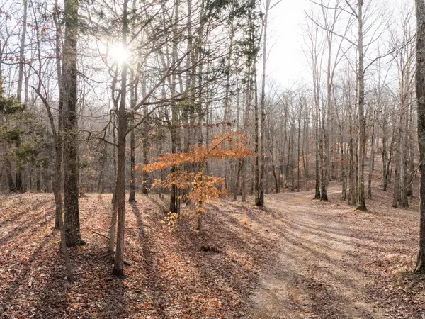 6 Pinewood Road, Nunnelly, TN 37137