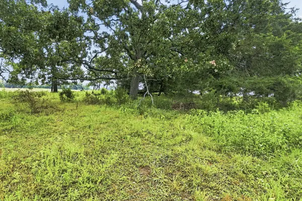 000 E State Highway 215, Aldrich, MO 65601