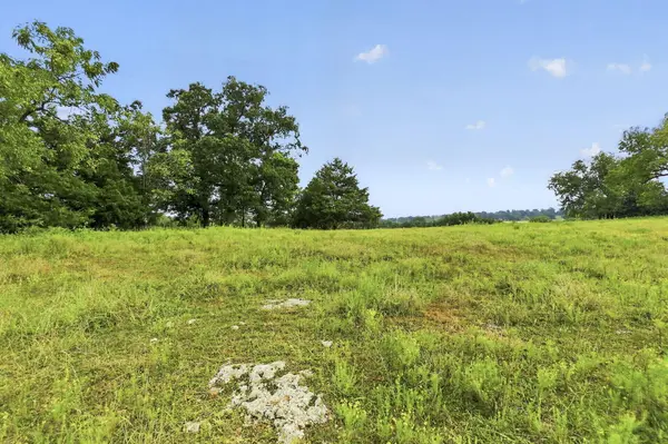 000 E State Highway 215, Aldrich, MO 65601