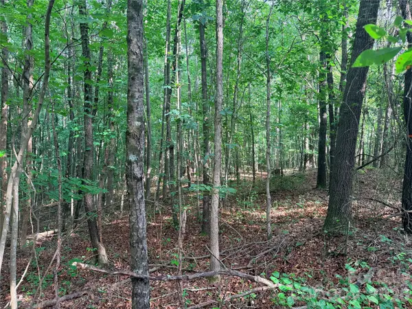 lot 3 Schenck Farm RD, Lawndale, NC 28090