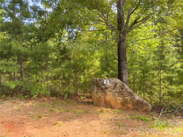 0 Boulder RDG #5, Lake Lure, NC 28746