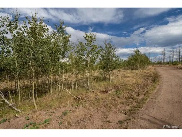 1316 Biaggini, Fort Garland, CO 81133