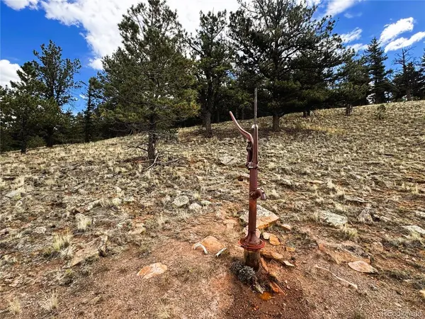0 Sioux Road, Hartsel, CO 80449