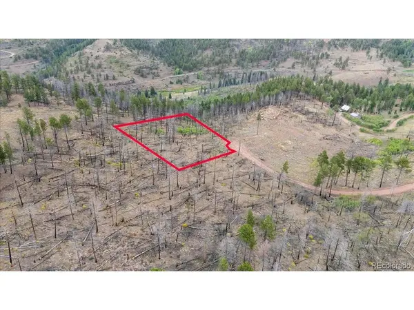 547 Drey's, Fort Garland, CO 81133