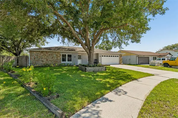 16205 SAWGRASS CIR, Tampa, FL 33624
