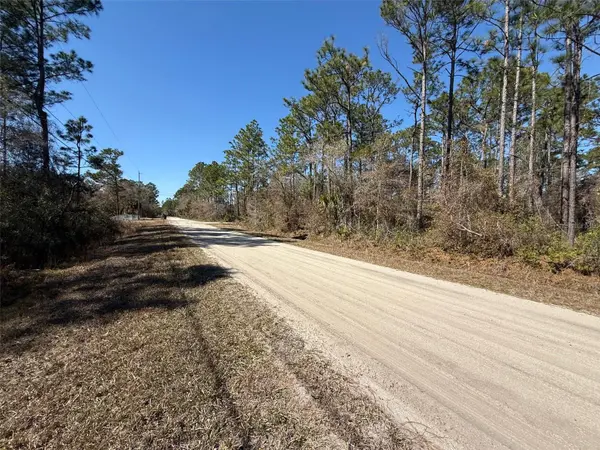 4664 CLOVE AVE, Bunnell, FL 32110