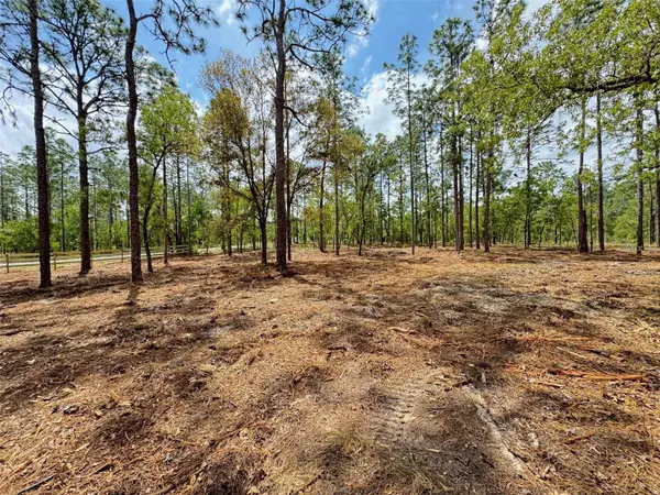 SW DEERPARK HEIGHTS RD, Dunnellon, FL 34431