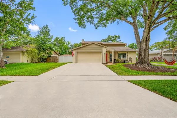 15816 HOUND HORN LN, Tampa, FL 33624