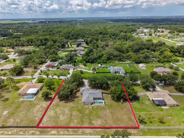 10234 BLOOMFIELD HILLS DR, Seffner, FL 33584