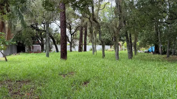 TALLAHASSEE DR, Tarpon Springs, FL 34689