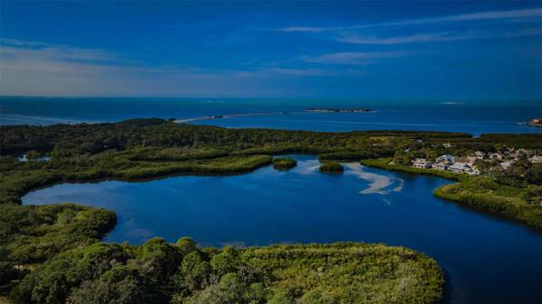 1001 POND VIEW CT, Tarpon Springs, FL, 34689 photo 95