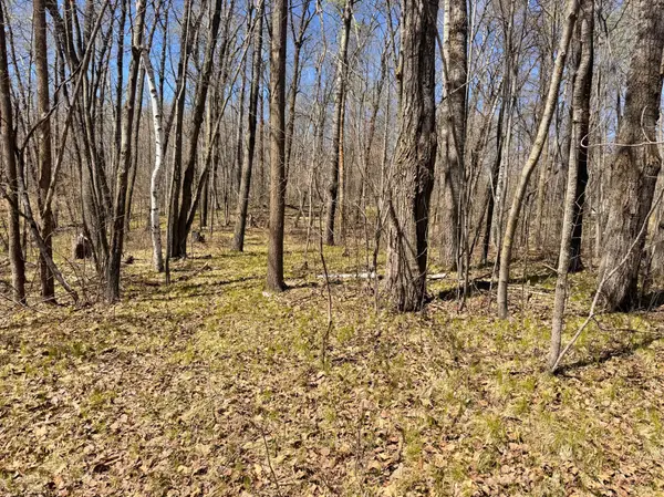45527/45609 Fox RD, Hinckley, MN 55037