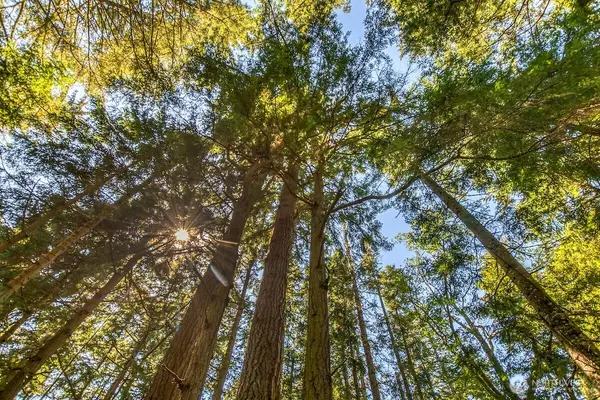 0 Pioneer Hill RD, Orcas Island, WA 98245