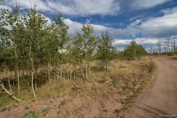 Lot 1316 Biaggini LN, Fort Garland, CO 81133