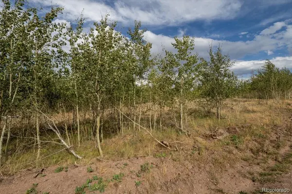 Lot 1316 Biaggini LN, Fort Garland, CO 81133