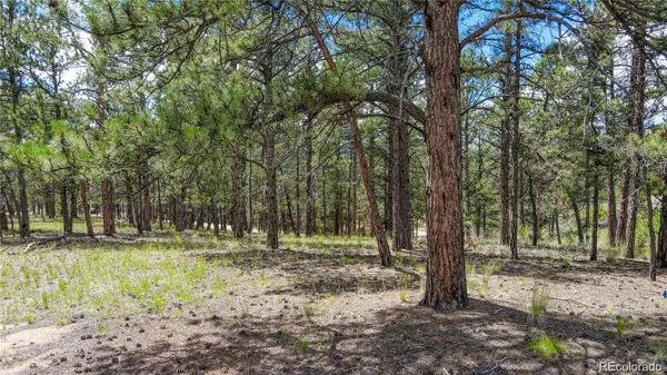 2075 Pikes Peak DR, Florissant, CO 80816
