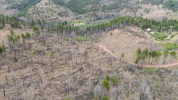 Lot 547 Drey's PL, Fort Garland, CO 81133