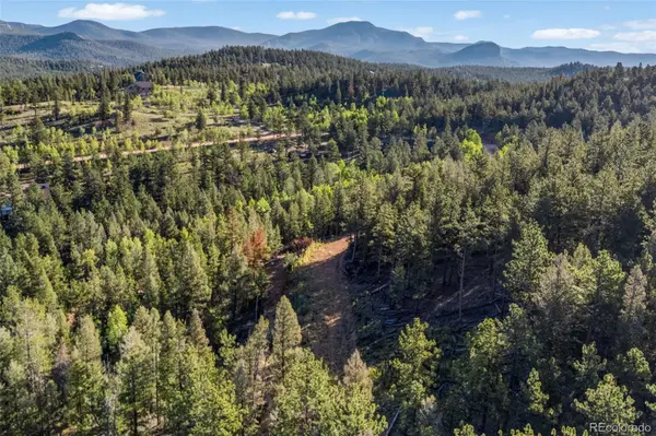 157 Saddle Horn LN, Bailey, CO 80421