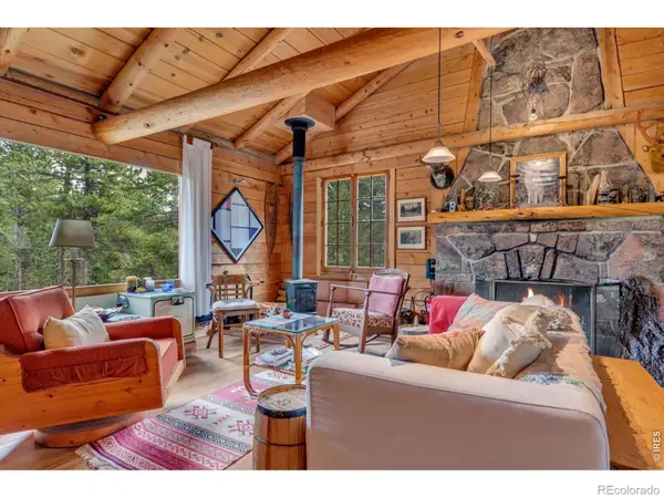 628 County Road 113S, Allenspark, CO 80540
