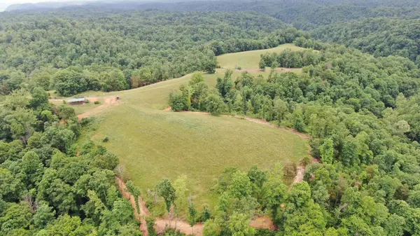 0 Hummingbird lane, Celina, TN 38551
