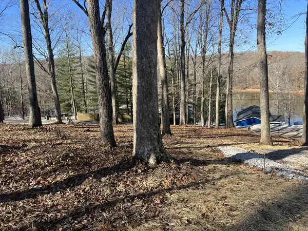 559 Hickman Shores Rd, Dover, TN 37058