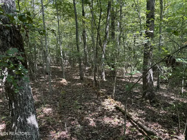 18 Laurel Way, Monterey, TN 38574