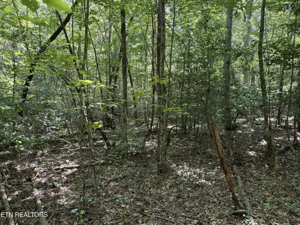 18 Laurel Way, Monterey, TN 38574