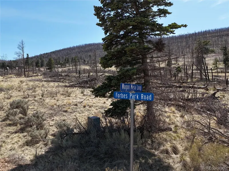LOT 506 Forbes Park RD, Fort Garland, CO 81133