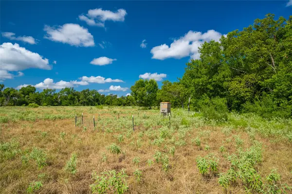 17000 FM 112, Thrall, TX 76578