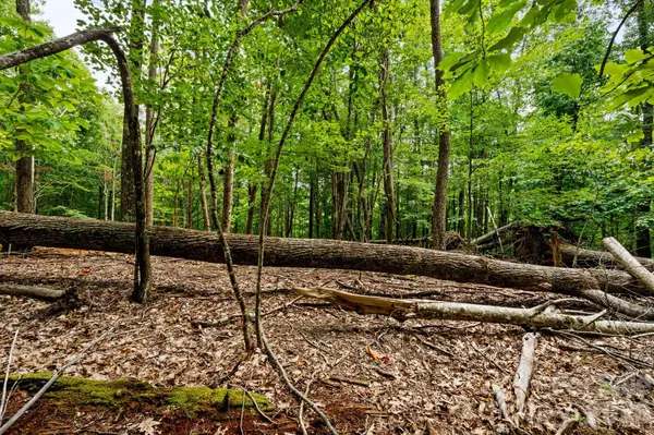 203 Sourwood LN #186, Beech Mountain, NC 28604