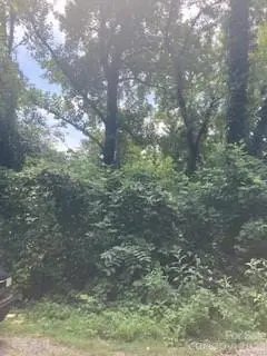 99999 Old Haw Creek RD #Lot 1, Asheville, NC 28805